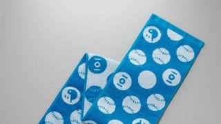 夏の高校野球オフィシャルグッズ発売…タオルや記念球など