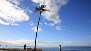 マウイの海岸線沿いを走る「マウイマラソン＆ハーフマラソン」10月開催