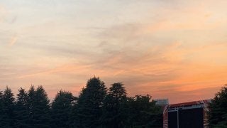 飼料から禁止薬物検出 JRAが今週の競走除外馬を発表