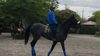 【注目新馬】サクセッション 国枝師「初戦から動けそう」