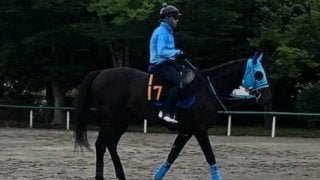 【ユニコーンS】ヴァイトブリック 和田郎師「次のことは考えずに全力投球」