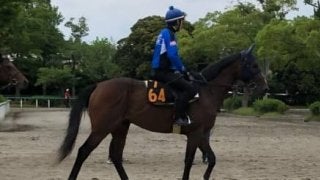 【ユニコーンS】デアフルーグ 津村「大きなところを狙える馬