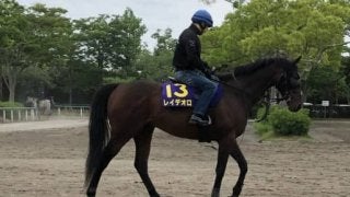 【宝塚記念1週前】レイデオロ ルメール「前が流れてくれるといいですね」