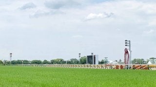 JRAで禁止薬物検出 16日(日)に競走除外となる出走馬は函館SSのダノンスマッシュなど