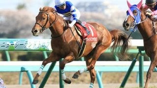 ユニコーンＳで穴党記者の意見が合致。ワイドファラオが砂嵐を起こす