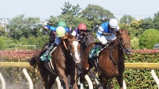 【ユニコーンS】ワイドファラオが逃げ切り！芝ダートで二刀流