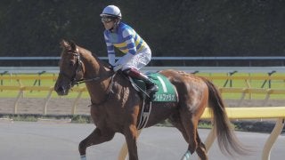 【ユニコーンS】福永「初ダート重賞挑戦で勝つというのは簡単ではない」ワイドファラオが二刀流発揮