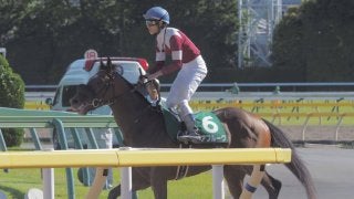 【ユニコーンS】津村「伸びませんでした…」デアフルーグは初めて連対を外す