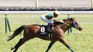 【町田特別】ベイビーステップが直線独走で押し切る