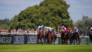 【仏オークス・ディアヌ賞】武豊騎乗のアマレナは15着 ルメール騎乗のカルティエムは13着敗退