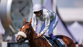 【仏オークス・ディアヌ賞】武豊騎乗のアマレナは15着