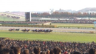 競走除外馬に対する優先出走権の付与について