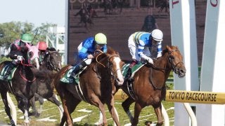 【ユニコーンS】好天にも恵まれ入場者数もアップ