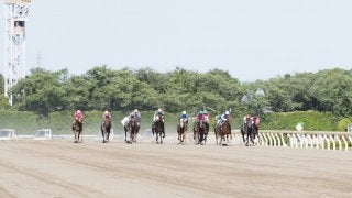 【ユニコーンS】安田隆師「首の上げ下げの差」レース後 関係者コメント