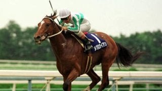 宝塚記念で思い出すメジロライアン。戦法転換でついに無冠を返上した