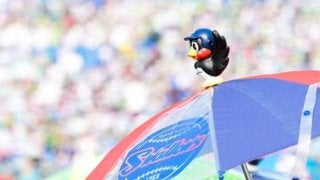 サザエさん一家がヤクルトユニを着用　燕の「サザエさん」とコラボデーにファン歓喜