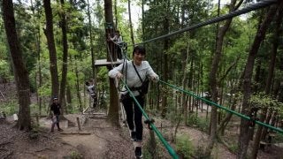 森林を活用したアドベンチャーパーク「冒険の森」が岐阜県百年公園に7月オープン