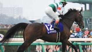 宝塚記念は５歳馬２頭に期待。今年苦戦中も馬場適性と血統はバッチリや