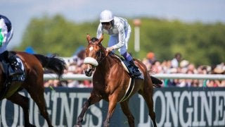 【武豊日記】海外遠征