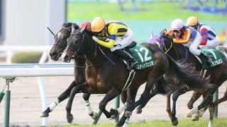 宝塚記念の穴馬パターンは３つ。該当する３頭と紅一点で気分爽快だ