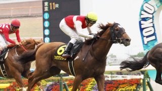 【パラダイスS】田辺「脚を溜めながら運べた」6番人気のショウナンライズがV