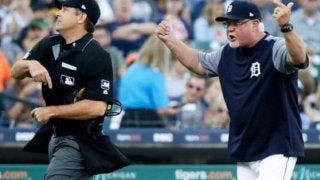 タ軍監督がシーズン最多退場記録を更新する？　MLB公式「記録的ペース」