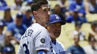 【MLB】ドジャース、防護ネット拡大を発表「ファンの安全は最も重要」