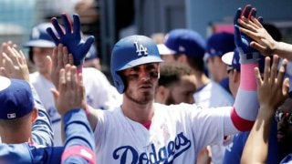 【MLB】選手とハグできるなら…乱入の女性ファンが異例の弁明「人生に1度のチャンス」