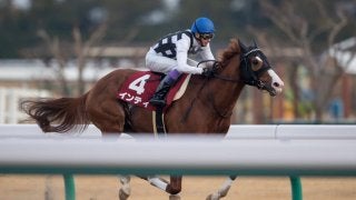 【帝王賞】枠順と見どころ 武豊インティは7枠11番