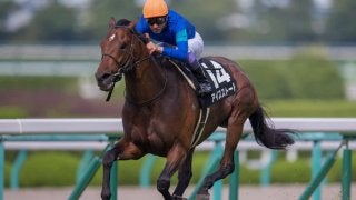 【武豊日記】アイスストーム