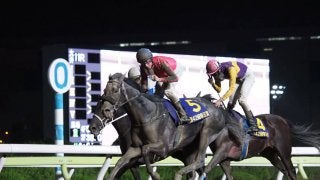 【帝王賞】オメガパフュームが差し切り勝ち