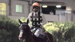 【帝王賞】武豊「気性的な弱点が…」インティは6着敗退