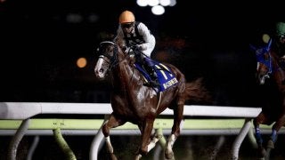 【帝王賞】武豊「脆さが出た」ジョッキーコメント