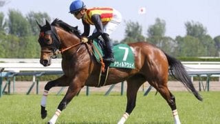 サマースプリント第２戦のＣＢＣ賞。復調の３歳牝馬は要チェック！