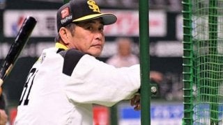 交流戦人気はまだまだ続く？　9球団の平均観客動員数がシーズン全体を上回る