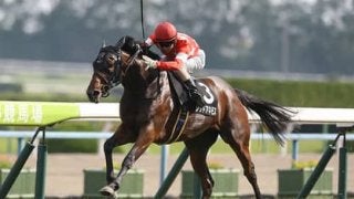 穴党記者からの提言。ラジオNIKKEI賞は「斤量と血統を重視すべし」