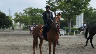 【ラジオNIKKEI賞】ウインゼノビア 距離短縮、小回りでチャンス