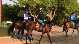 【ラジオNIKKEI賞】ダディーズマインド 立ち回りの上手さを生かす