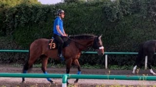 【ラジオNIKKEI賞】ディキシーナイト 国枝師「先週今週と動きはいい」