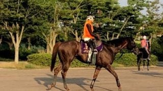 【CBC賞】セイウンコウセイ 前走で復活をアピール