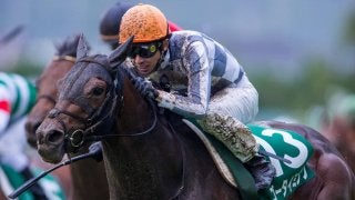 【ラジオNIKKEI賞】武豊「小回りコースの分…」木梨憲武命名のゴータイミングが3着