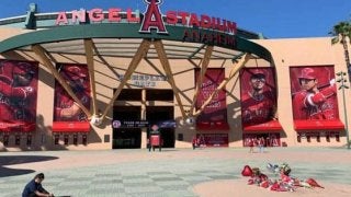 【MLB】スカッグス急死に本拠地も深い悲しみ　ファンが涙「エースになってくれると…」