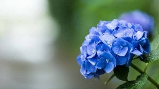 痛みだけではない「天気痛」とは？梅雨の時期の過ごし方について