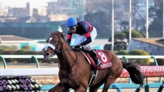 タンタアレグリア号が死亡