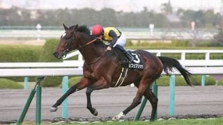 「荒れる」七夕賞で狙える３頭。過去の穴馬には意外な共通点があった