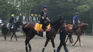 【七夕賞】ミッキースワロー 菊沢「あとは自分次第」