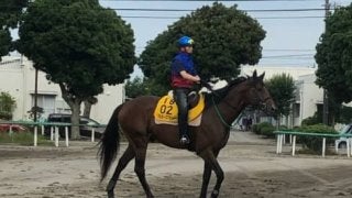 【七夕賞】マルターズアポジー 武士沢「マイペースで運べるか」