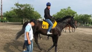 【プロキオンS】アルクトス 1700m以下では6.1.1.0と完璧