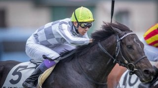 【新馬/中京5R】武豊「将来性を感じた」マイラプソディが強い競馬を見せる