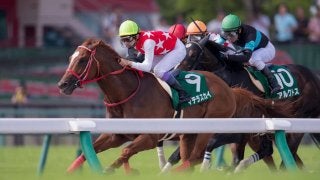 【プロキオンS】森師「予定通りブリーダーズカップ(スプリント)へ」レース後 関係者コメント